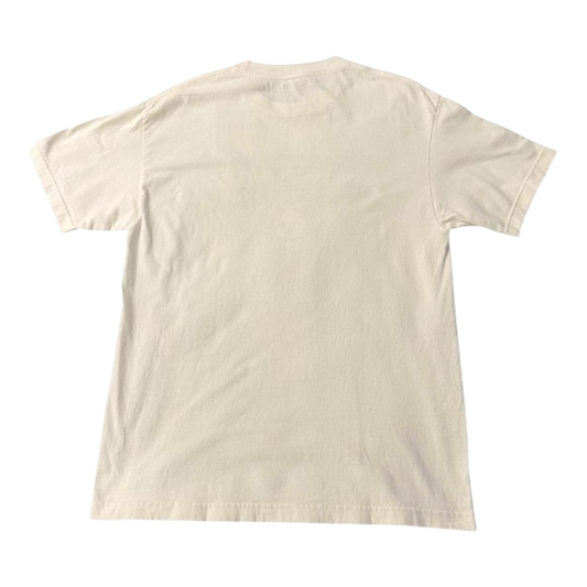Vintage Pittsburgh Steelers NFL T-shirt with front print logo, 2000s style, by The Hennessy Archive.
